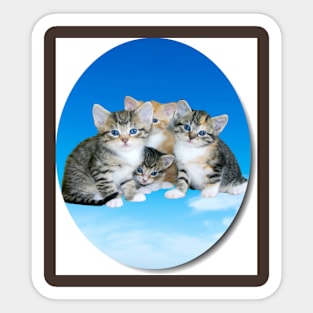 kittens Sticker